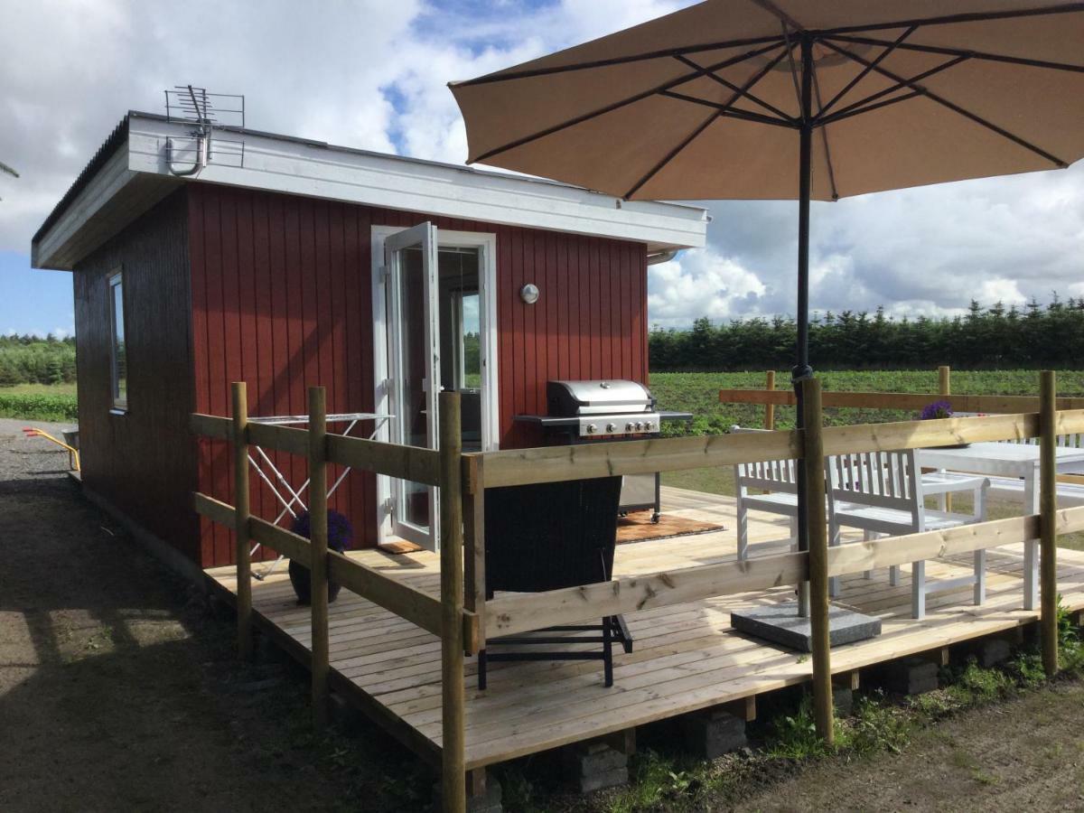 Feriehytten Honsehuset Vila Løkken Exterior foto